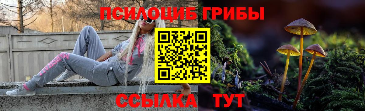 Псилоцибиновые грибы Magic Shrooms  Вход с VPN  Крымск  Галлюциногенные грибы Cubensis 