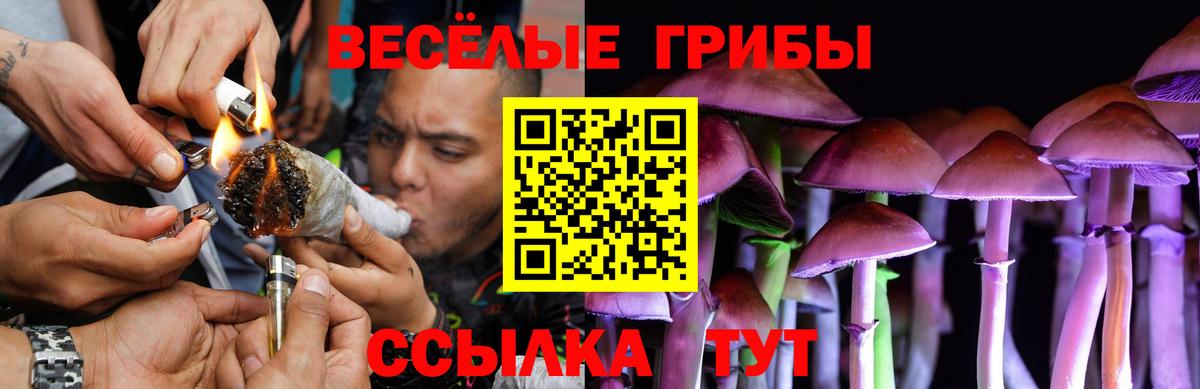 Псилоцибиновые грибы мицелий Крымск